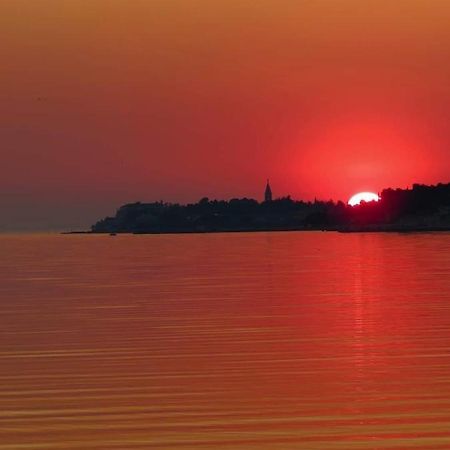 Apartment Novigrad City Centre Εξωτερικό φωτογραφία