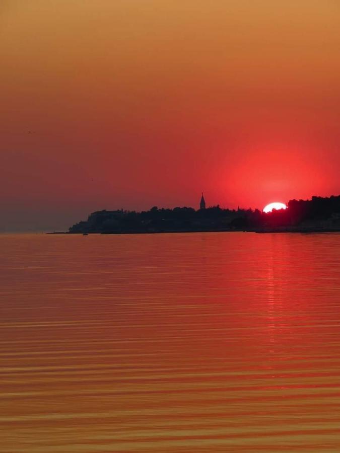Apartment Novigrad City Centre Εξωτερικό φωτογραφία